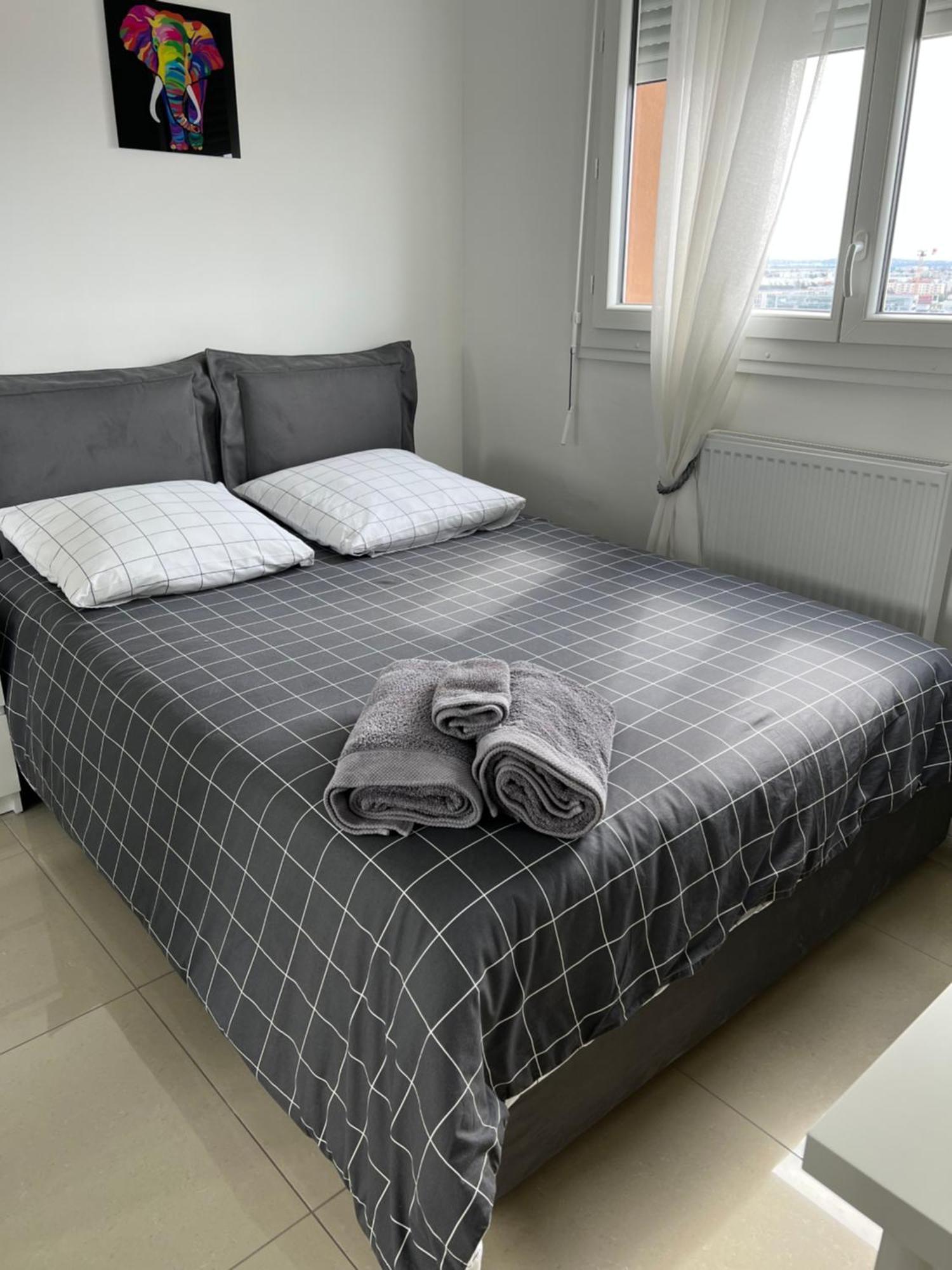 Ferienwohnung Super 4 Pieces Refait A Neuf Villeurbanne Exterior foto